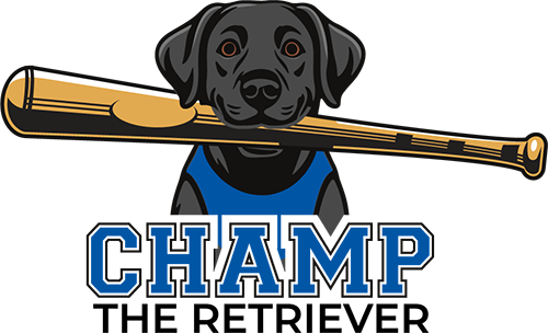 All-Star Dog Training logo